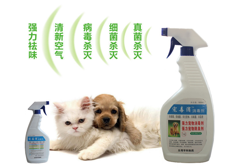 寵毒消 專業寵物消毒解決方案，守護愛寵健康環境